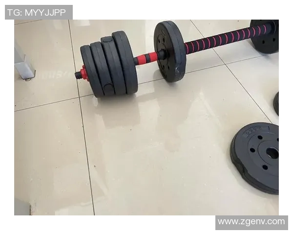 30公斤哑铃价格分析及购买建议助你选择最优性价比产品